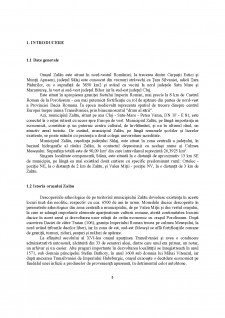 Analiza bugetului municipiului Zalău - Pagina 3