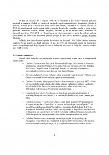 Analiza bugetului municipiului Zalău - Pagina 4