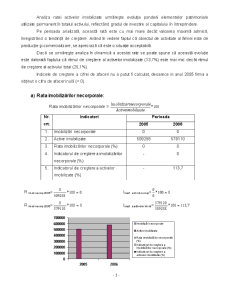 Analiza economico-financiară a SC Menz Gasser România SRL - Pagina 3