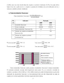 Analiza economico-financiară a SC Menz Gasser România SRL - Pagina 5
