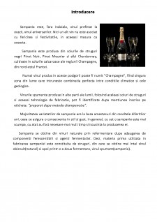 Acționarea și automatizarea unei linii de producere a șampaniei - Pagina 2