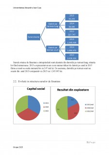 Analiza sursei de finanțare ale întreprinderii SC Conted SA Dorohoi - Pagina 5