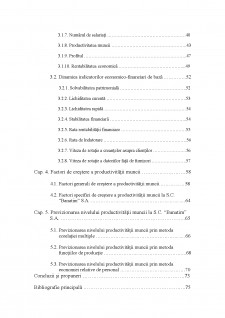 Studiul prospectiv privind evoluția nivelului productivității muncii la S.C. Banatim S.A. Timișoara - Pagina 2