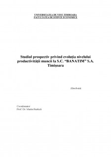 Studiul prospectiv privind evoluția nivelului productivității muncii la S.C. Banatim S.A. Timișoara - Pagina 4