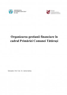 Organizarea gestiunii financiare în cadrul Primăriei Comunei Tătăruși - Pagina 1