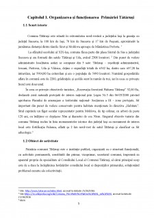 Organizarea gestiunii financiare în cadrul Primăriei Comunei Tătăruși - Pagina 3
