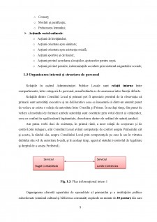 Organizarea gestiunii financiare în cadrul Primăriei Comunei Tătăruși - Pagina 5