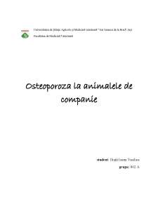 Osteoporoza la animalele de companie - Pagina 1