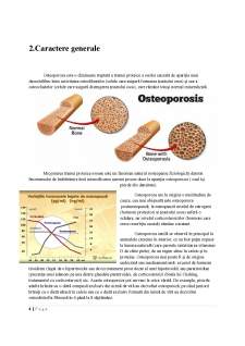 Osteoporoza la animalele de companie - Pagina 4