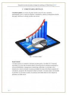 Exemple de cercetare de piața și strategie de marketing în SC Retail Zoom - Pagina 3