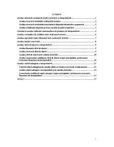 Analiza economico-financiară a întreprinderii - Pagina 1