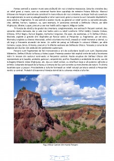 Estimarea potențialul turistic al reliefului Munților Perșani - Pagina 4