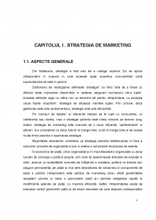 Elaborarea strategiei de marketing a firmei York România - Pagina 5