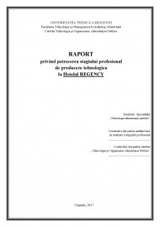 Raport privind petrecerea stagiului profesional de producere tehnologică la hotelul Regency - Pagina 1
