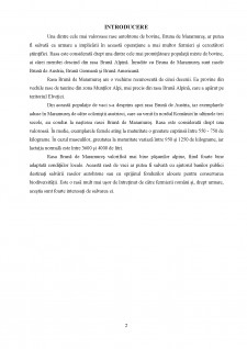 Conservarea rasei de taurine Brună de Maramureș - Pagina 2