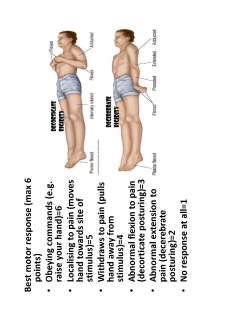 Medical semiology - Pagina 106