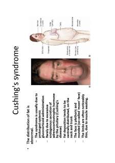 Medical semiology - Pagina 126