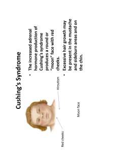 Medical semiology - Pagina 131