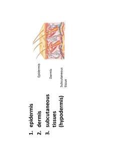 Medical semiology - Pagina 148