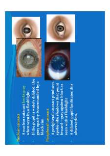 Medical semiology - Pagina 303