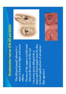 Medical semiology - Pagina 307
