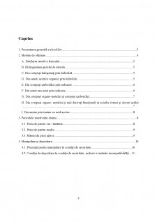 Raport de expertizare - Metanol - Pagina 2