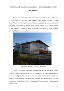 Monografia satului românesc - Pagina 4