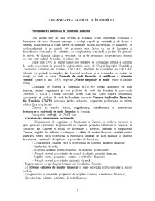 Auditul Public în România - Pagina 1