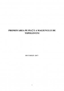 Promovarea pe piața a Magiunului de Topoloveni - Pagina 2