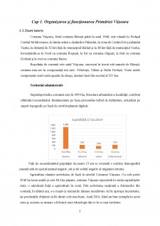 Fundamentarea și finanțarea cheltuielilor la Primăria Comunei Viișoara - Pagina 3