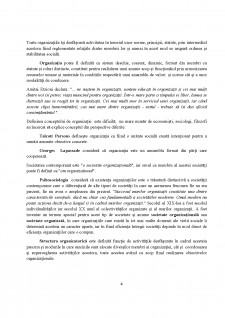 Declarația de principii - suport etic al organizației - Pagina 4