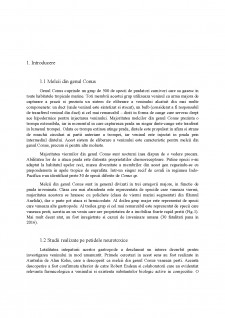 Melcii din genul Conus - Pagina 2