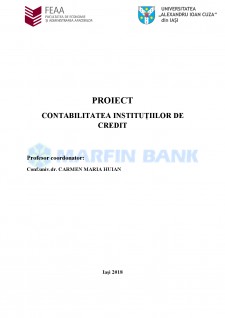 Contabilitatea instituțiilor de credit - Pagina 1