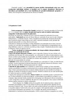 Curtea Europeană a Drepturilor Omului - organizare și procedură - Pagina 4