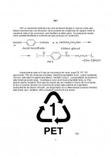 Reciclarea ambalajelor din PET și PE - Pagina 4