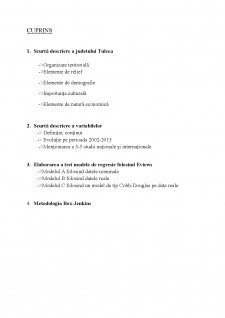 Econometrie - Tulcea - Pagina 2