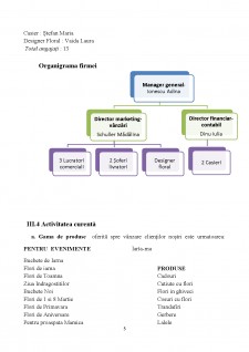 Plan de afaceri - S.C IRIS S.R.L - Pagina 5