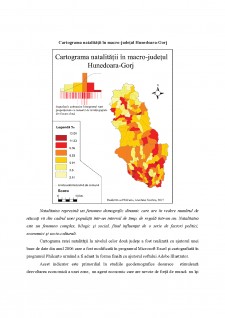 Analiza geo-demografică a macro-județului Hunedoara-Gorj - Pagina 3
