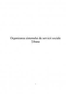 Organizarea sistemului de servicii sociale Țibana - Pagina 1