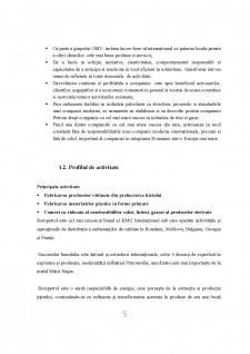 Sistemul de management integrat de mediu al firmei Rompetrol Rafinare S.A. - Pagina 5