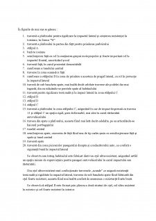 Caroserii și structuri portante - studiul caroseriei Volvo XC90 - Pagina 3
