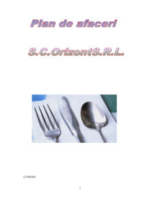 Plan de Afaceri - SC Orizont SRL - Pagina 1