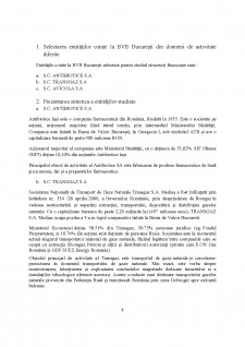 Studiul structurii financiare a societăților cotate la BVB București - Pagina 3