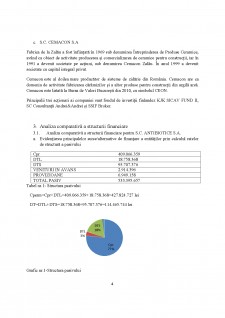 Studiul structurii financiare a societăților cotate la BVB București - Pagina 4