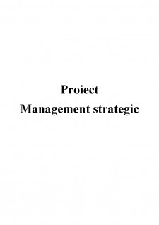 Fundamentarea strategiei de dezvoltare a firmei SC Danone SRL - Pagina 1