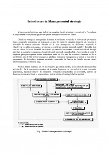 Fundamentarea strategiei de dezvoltare a firmei SC Danone SRL - Pagina 4