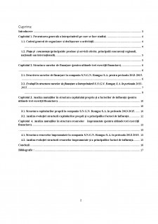 Analiza surselor de finanțare ale întreprinderii S.N.G.N. Romgaz S.A. - Pagina 2