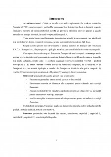 Analiza surselor de finanțare ale întreprinderii S.N.G.N. Romgaz S.A. - Pagina 3