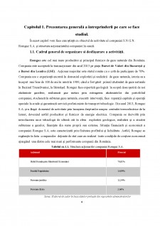 Analiza surselor de finanțare ale întreprinderii S.N.G.N. Romgaz S.A. - Pagina 4