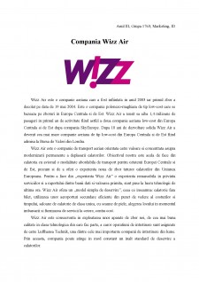 Companie prestatoare de servicii Wizz Air - Pagina 1